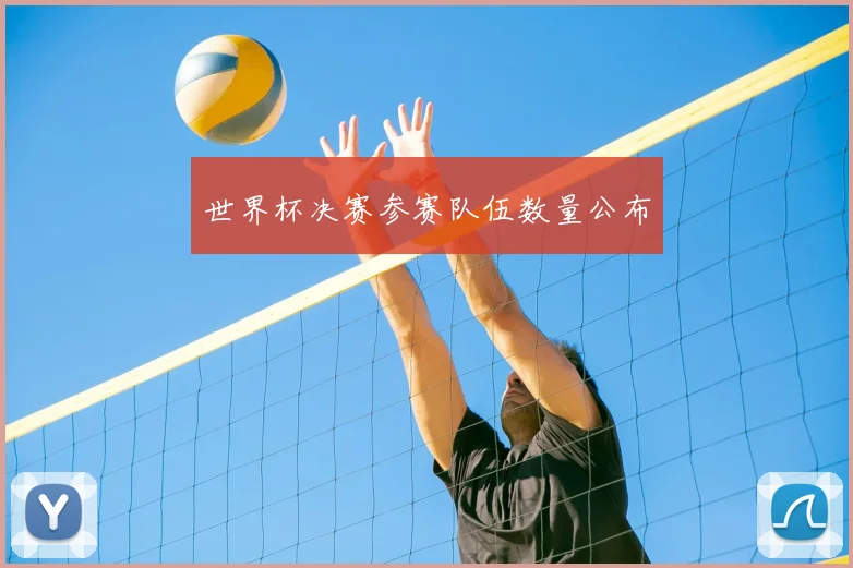 世界杯决赛参赛队伍数量公布