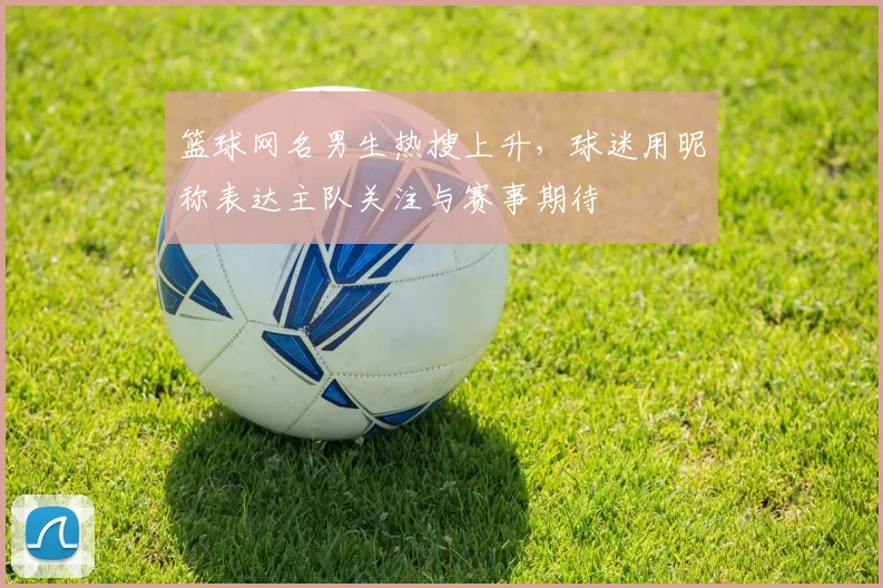 篮球网名男生热搜上升，球迷用昵称表达主队关注与赛事期待